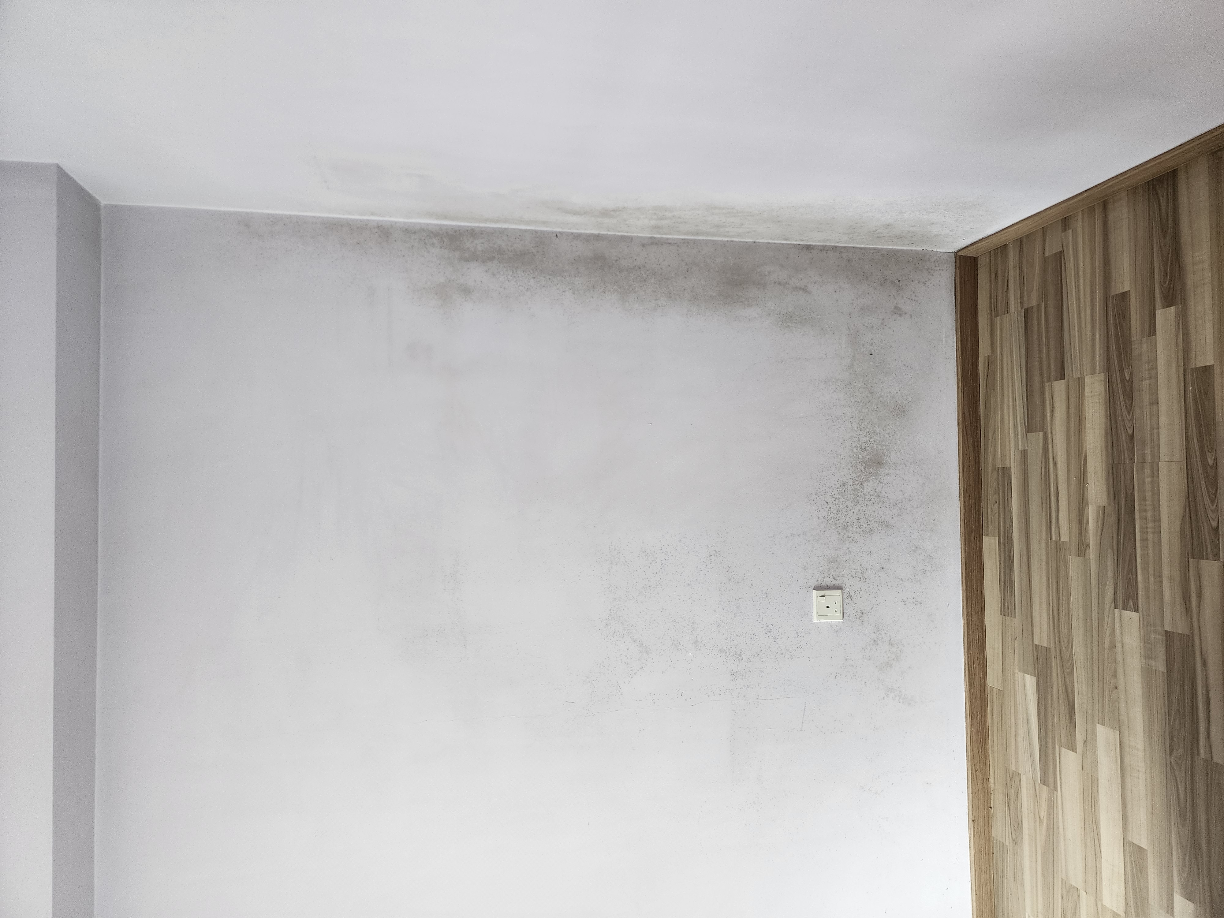 523D Tampines Central 7 — Before