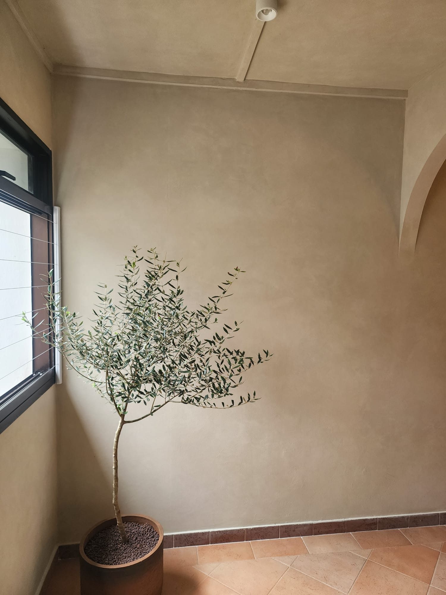 Textured Wall & Lime Wash