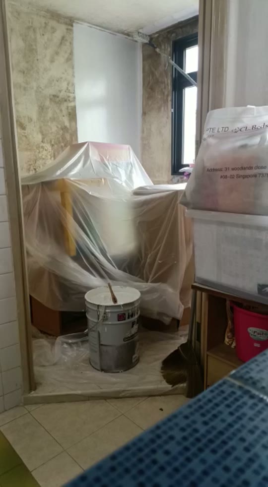 On the tools — repainting the yard room at 21 Ghim Moh Road.